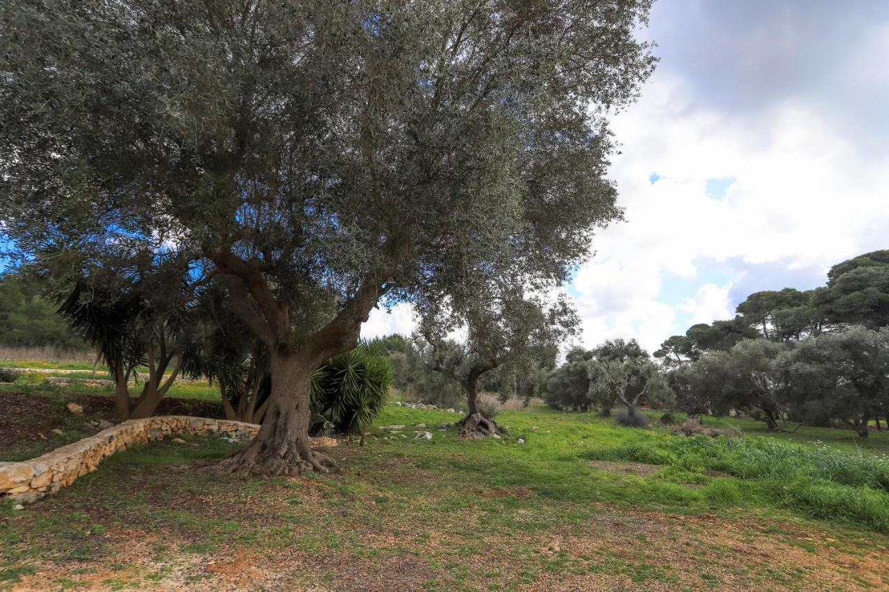 Affittacamere Casina Fumarola Ostuni Esterno foto