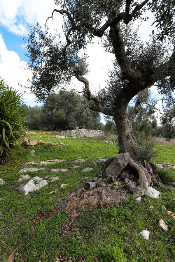 Affittacamere Casina Fumarola Ostuni Esterno foto